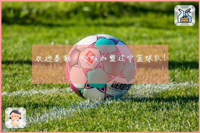 欢迎泰勒·哈维加盟辽宁篮球队！