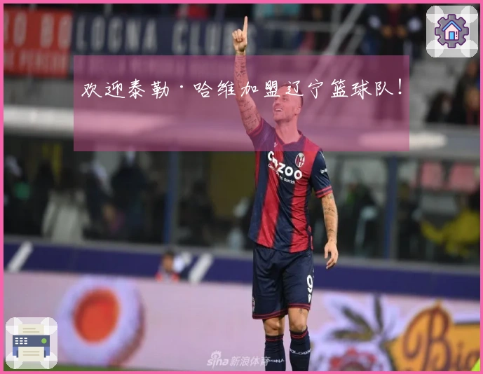 欢迎泰勒·哈维加盟辽宁篮球队！